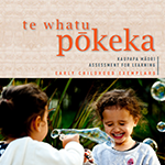 Te Whatu Pokeka: An introduction